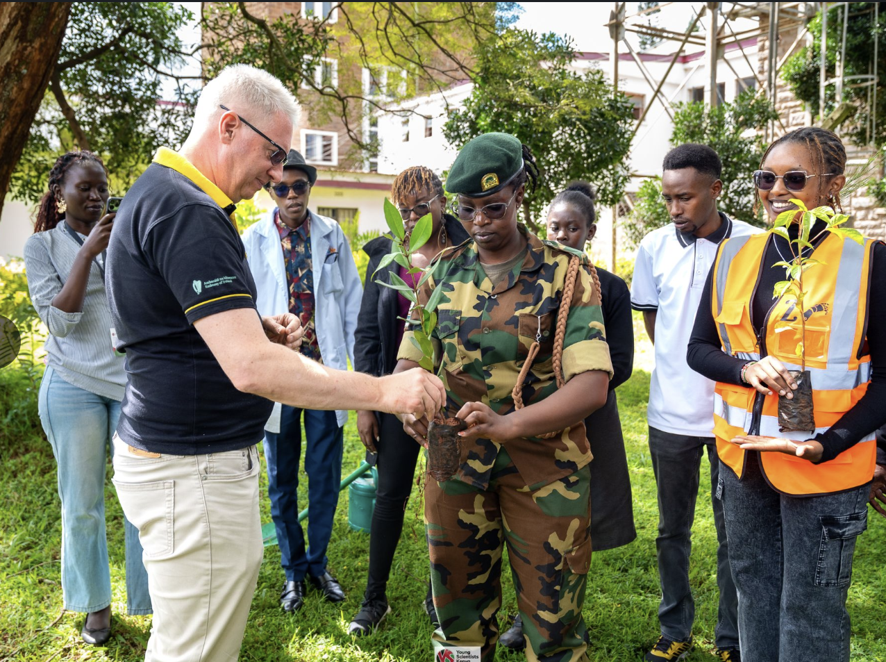 Sustainability in practice